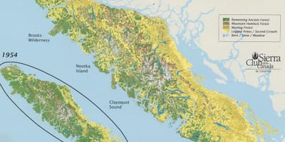 La forêt tropicale de l'île de vancouver carte