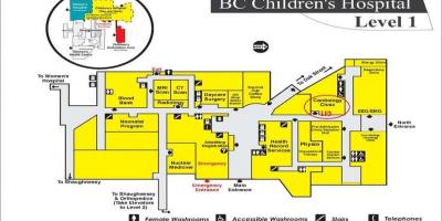 Carte de la bc children's hospital